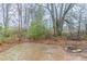View of a wooded backyard on a cloudy day with undergrowth and sparse ground cover at 2370 Wingfoot Pl, Decatur, GA 30035