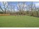 Expansive backyard with lush green grass and mature trees, perfect for outdoor activities and relaxation at 2923 Hall Se Dr, Smyrna, GA 30082