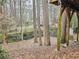 View of the backyard featuring mature trees and natural landscaping at 2336 Vistamont Dr, Decatur, GA 30033