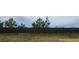 Long backyard with privacy provided by a tall, dark wooden fence at 11700 Brightside Pkwy, Hampton, GA 30228
