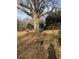 Expansive backyard featuring a mature tree providing ample shade at 502 Turner Ave, Palmetto, GA 30268