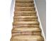 Carpeted stairs with light brown carpeting leading to the upper level of the home at 2403 Brianna Dr, Hampton, GA 30228