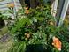 Vibrant rose bush with lush green foliage, adding natural beauty to the landscape at 3157 Oakdale Rd, Hapeville, GA 30354