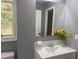 Bathroom featuring a modern vanity, mirror, and decorative plants at 10664 Sandpiper Road Rd, Jonesboro, GA 30238
