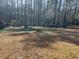 Lush backyard featuring mature trees and plenty of space for outdoor activities at 10836 Mallard Dr, Jonesboro, GA 30238