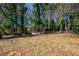 Spacious backyard featuring a full chain link fence and large mature trees at 228 W Simon Nw Ter, Atlanta, GA 30318