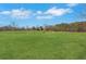 A large green pasture on a sunny day with fence posts at 75 Price W Dr, Locust Grove, GA 30248