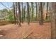 Large backyard surrounded by mature trees at 1678 Capistrana Pl, Decatur, GA 30032