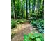 Lush backyard featuring a stone pathway winding through vibrant greenery and colorful hydrangeas at 2690 Twin Creek Ct, Marietta, GA 30062