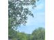 A glimpse of the city skyline is visible through a natural frame of trees at 1413 Lanier Ne Pl, Atlanta, GA 30306