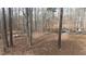 Spacious backyard with a wooded area and mature trees, offering privacy and a natural setting at 1700 Bailey Creek Sw Rd, Conyers, GA 30094