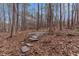 Wooded backyard featuring a stone pathway at 1700 Bailey Creek Sw Rd, Conyers, GA 30094