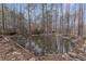 Backyard pond surrounded by a vibrant wooded area at 1700 Bailey Creek Sw Rd, Conyers, GA 30094