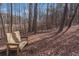 A wooden bench nestled in a serene, tree-filled pasture area at 1700 Bailey Creek Sw Rd, Conyers, GA 30094