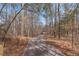 Long paved drive winding through a natural setting towards the house at 1700 Bailey Creek Sw Rd, Conyers, GA 30094