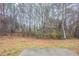 A view of the private backyard with mature trees and natural foliage, creating a serene outdoor space at 982 Ashton Park Dr, Lawrenceville, GA 30045