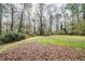 Expansive backyard featuring a lush lawn and mature trees at 1838 Nicole Ln, Lithonia, GA 30058