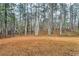 Large backyard area with a dense tree line creating a private outdoor space at 8034 Bradshaw Ct, Douglasville, GA 30134