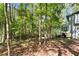 Scenic view of home nestled in a wooded lot with mature trees at 4867 Township Trce, Marietta, GA 30066