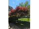 Landscaped backyard with a decorative tree and partial fence, and partial view of building at 3941 Covered Bridge, Smyrna, GA 30082