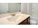 Bright bathroom featuring a vanity with ample storage and a shower/tub combo at 508 Clayborne Way, Loganville, GA 30052