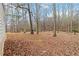 Backyard backing to trees at 51 Brookshire Ct, Dallas, GA 30157