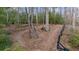Scenic view of walking path through the woods, providing opportunities for outdoor adventures and relaxation at 6451 Crest Brook Way, Buford, GA 30518