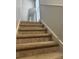 Carpeted stairway leads to the upper level, providing a cozy and safe transition between floors at 1507 Smithfield Dr, Mcdonough, GA 30252