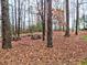 A wooded backyard with picnic tables at 2751 Davis Rd, Marietta, GA 30062