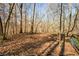 A wooded area, part of the property, covered in leaves, showing the abundance of trees and natural surroundings at 100 Silverbell Ct, Roswell, GA 30075