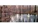 Calm pond reflecting the surrounding trees, enhanced by a central water fountain feature at 100 Silverbell Ct, Roswell, GA 30075