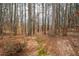 Secluded backyard with mature trees offering privacy and a natural setting at 3201 Hobsons Ridge Nw Trl, Acworth, GA 30101