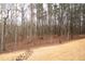A yard with a dry creek bed at the base of a tree line at 3201 Hobsons Ridge Nw Trl, Acworth, GA 30101