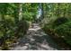 Long driveway leading to a beautiful home surrounded by lush, mature trees at 4000 Conway Valley Nw Rd, Atlanta, GA 30327