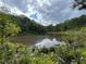 Secluded wooded area featuring a tranquil pond surrounded by lush vegetation at 744 Hampton Locust Grove Rd, Hampton, GA 30228
