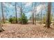 Leaf-covered backyard featuring mature trees, a wooden swing, providing shade and a tranquil atmosphere at 4900 Raquet Ct, Duluth, GA 30096