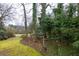 Backyard scene with vibrant mossy ground, string lights, and mature trees for serene outdoor living at 192 Maple Wood Dr, Lawrenceville, GA 30046