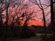 Sunset view through bare trees, showcasing a colorful sky and a glimpse of the home's backyard at 192 Maple Wood Dr, Lawrenceville, GA 30046