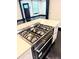 Gourmet kitchen with stainless steel appliances, gas range, and modern cabinetry at 657 S Grand Nw Ave, Atlanta, GA 30318