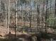 View from the property showcasing a densely wooded backyard at 690 Antioch Rd, Powder Springs, GA 30127
