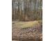 Large, wooded backyard area with a partial fence providing privacy and space for outdoor activities at 110 Casa Domain Ct, South Fulton, GA 30349