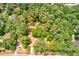An aerial view of wooded homesite surrounded by mature trees at 1491 S Hairston Rd, Stone Mountain, GA 30088