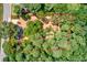 Aerial view of lot showing the large treed lot with marked property lines and a home on the property at 1491 S Hairston Rd, Stone Mountain, GA 30088