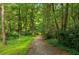 Scenic wooded path leading to the home, surrounded by lush greenery and mature trees at 615 Spruce Dr, Pine Lake, GA 30072