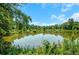 Picturesque pond surrounded by lush greenery and trees, offering a tranquil view at 615 Spruce Dr, Pine Lake, GA 30072