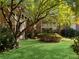 Lush backyard with manicured green lawn and mature trees, perfect for outdoor enjoyment at 475 Mount Vernon Ne Hwy # C230, Sandy Springs, GA 30328