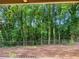 Serene backyard view from porch with trees and foliage, offering privacy and natural beauty at 475 Mount Vernon Ne Hwy # C230, Sandy Springs, GA 30328