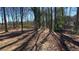 Mature trees create privacy in the backyard at 533 Fayetteville Rd, Fairburn, GA 30213