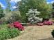 Relaxing backyard featuring a hammock nestled among blooming azaleas and mature trees at 1453 Reagan Cir, Conyers, GA 30012
