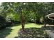 Spacious backyard featuring a lush lawn and mature trees, offering ample space for outdoor activities at 2116 Strasburg Ct, Dunwoody, GA 30338
